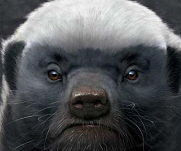 ƽͷ�����������ʲô�̶� Ϊʲôƽͷ�粻����