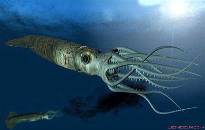 �����������ά������ ��������������