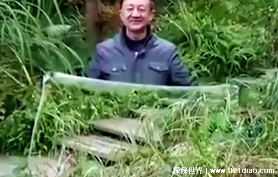 ��������û�������� �˿�������͸������