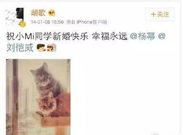 ����ϲ�����轻������ ����Ϸ������