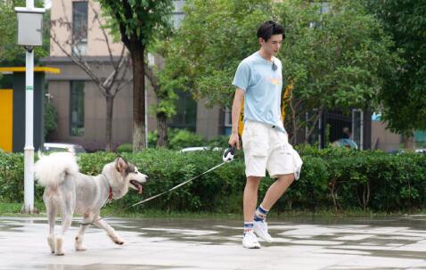 Ҧ��Ϊʲôû�г��� Ҧ���й����ʴ�ѧ���������人