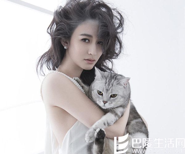 �����ΪʲôȢ��СȽ ��СȽ���������ɴ��