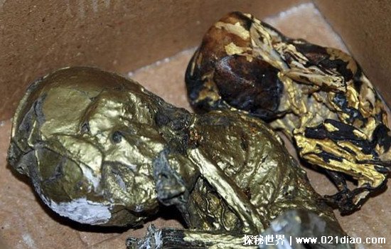 �ƽ�Ӥʬ�ֲ�ͼƬ ̩��2010��Ӥʬ�¼�