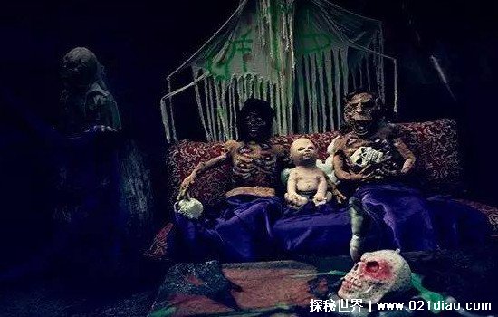 ��������ֲ����׶�԰ �ձ���һ����������