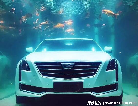 ��������׷�����¼���������ô���� һЩ����Ҳ�����Ѱǳ�