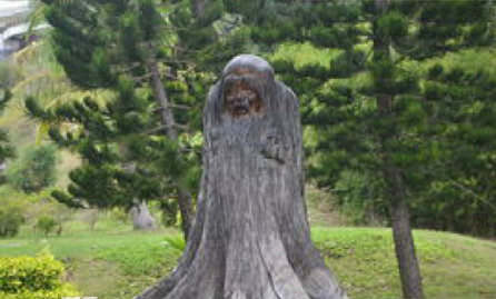 �й���ʷ����ٵ��� �¿�����443���������