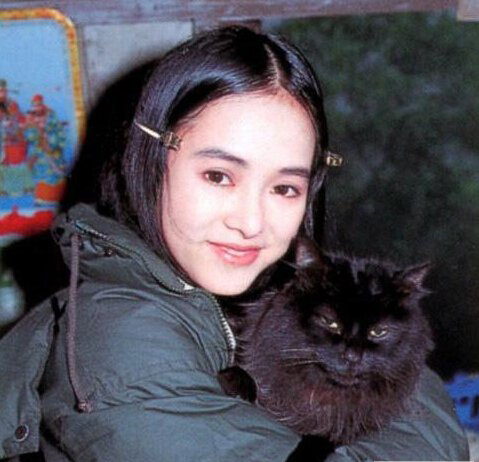 Ҷ�������ں����� ����ʷ��������ô����