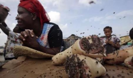 �����ߴ��������Щ�ط� �ֲ�ָ���ﵽ12