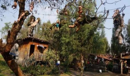 �����ߴ��������Щ�ط� �ֲ�ָ���ﵽ12