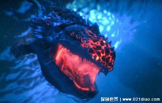 һ����껷�ǲ�ɫ�� ���������л껷��ɫ�ͻ꼼