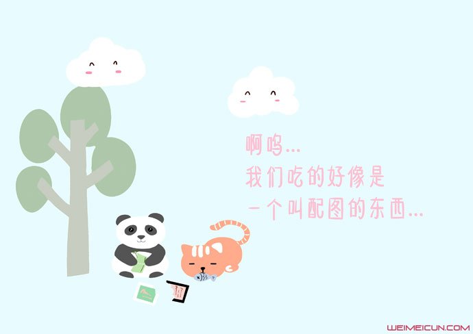 网红猫楼楼是什么品种 楼楼是公猫还是母猫