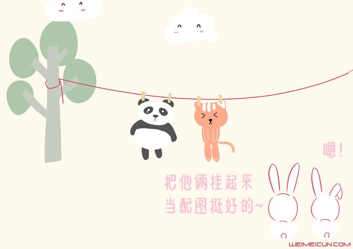 网红猫楼楼是什么品种 楼楼是公猫还是母猫