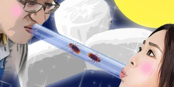 �ձ����ո�Ц��Ŀ ʮ���ձ���ҹ���մ�ȫ