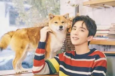 �������������Щ���� ���ļҾ����Ͻ���