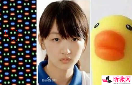 �ֻ��ܶ�����ʲô�� ʲô�����ܶ�����Ļ