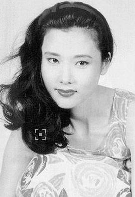 何赛飞个人简历资料 她主演的电视剧有哪些