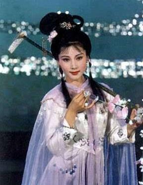 何赛飞个人简历资料 她主演的电视剧有哪些