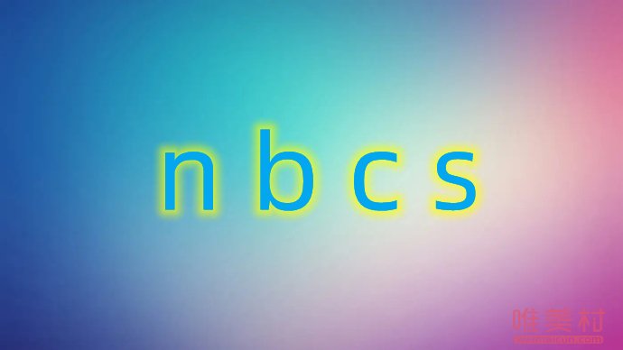 nbcsʲô��˼��Ȧ���� nbcs��ʲô��д