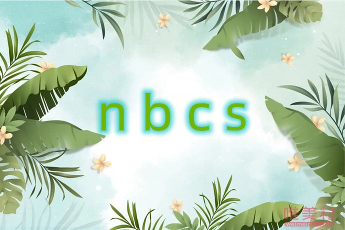nbcsʲô��˼��Ȧ���� nbcs��ʲô��д
