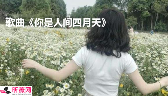 �������������� ��������ǰʮ�ĸ���