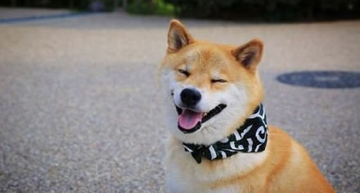 ΢Ц��ԭͼ�ֲ���Ƭ ������΢Ц����ʲô��