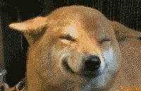 ΢Ц��ԭͼ�ֲ���Ƭ ������΢Ц����ʲô��