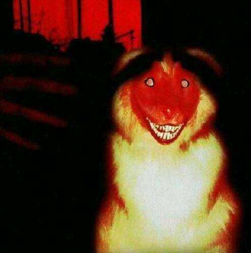 ΢Ц��ԭͼ�ֲ���Ƭ ������΢Ц����ʲô��