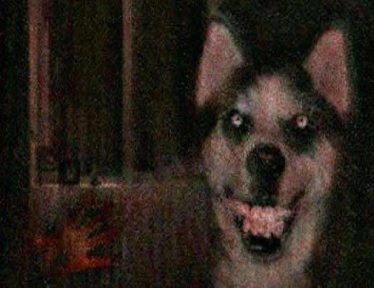 ΢Ц��ԭͼ�ֲ���Ƭ ������΢Ц����ʲô��