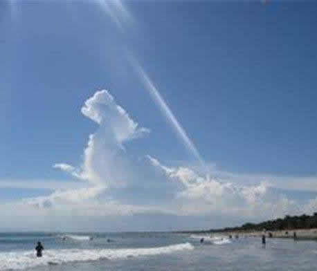 ���������һֻ���ͼƬ��ʵ �ʹ�˵�е�һģһ��