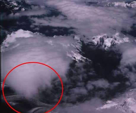 ���������һֻ���ͼƬ��ʵ �ʹ�˵�е�һģһ��