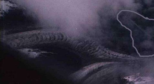 ���������һֻ���ͼƬ��ʵ �ʹ�˵�е�һģһ��