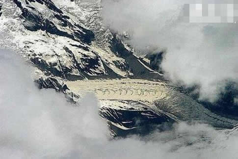 ���������һֻ���ͼƬ��ʵ �ʹ�˵�е�һģһ��