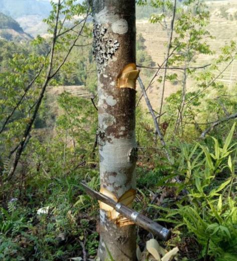 ��������û�н�� �����Ϲ���˭