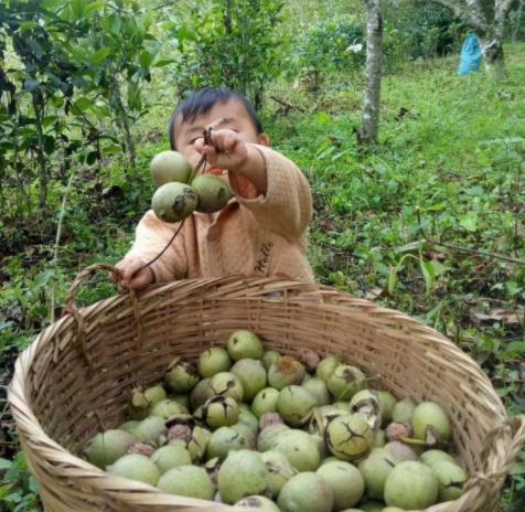 ��������û�н�� �����Ϲ���˭