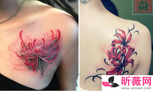 �˰��������ò��� �˰��������Ľ�������Щ