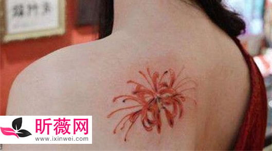 �˰��������ò��� �˰��������Ľ�������Щ