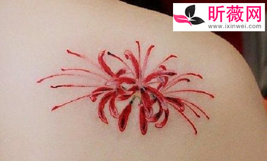 �˰��������ò��� �˰��������Ľ�������Щ