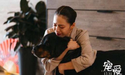 ��ϸ������ϼ�鼰���� ������ô��������