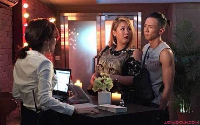 һ·����2̩֮��ʲôʱ����ӳ ��ʲô���µ�