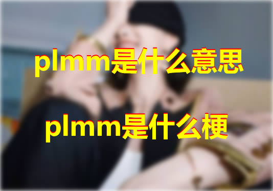 plmmʲô��˼��ʲô�� �Ƿ�Ȧ������