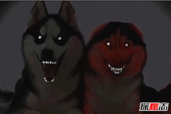 ΢Ц����ʲô�� ΢Ц��Smile DogͼƬ