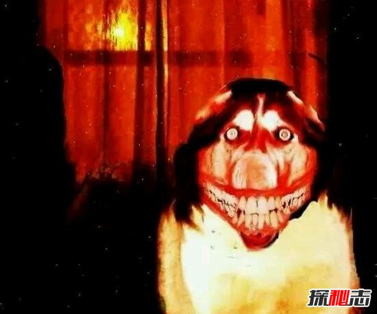 ΢Ц����ʲô�� ΢Ц��Smile DogͼƬ