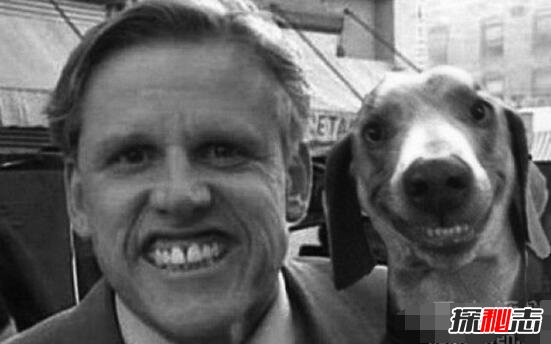 ΢Ц����ʲô�� ΢Ц��Smile DogͼƬ