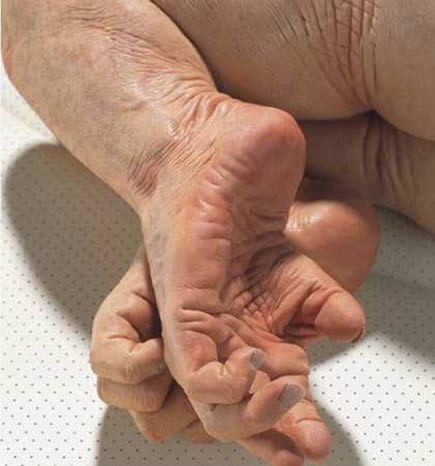 世界上有猪人吗 猪人真相大曝光