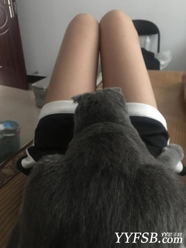 ��������ȥ��ֱ���� ���ӵ�˽����