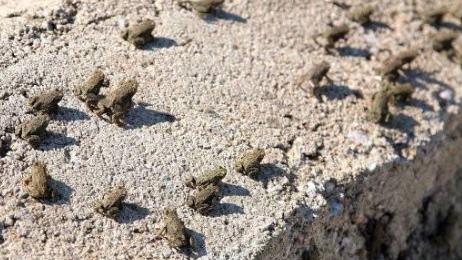 л��Ϊ����������� ���̥��Ϊʲô����