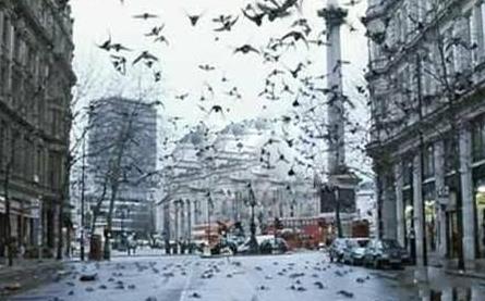 л��Ϊ����������� ���̥��Ϊʲô����