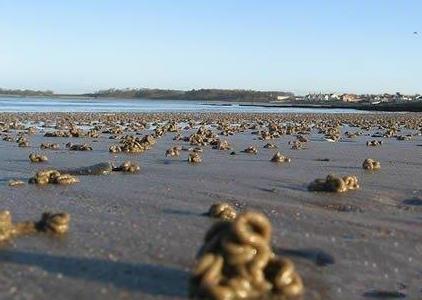 л��Ϊ����������� ���̥��Ϊʲô����