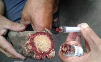 �������ʲô��Ч �������������Ĵ���