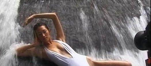 �����ø������ϼ�顢��������������������Ʒ